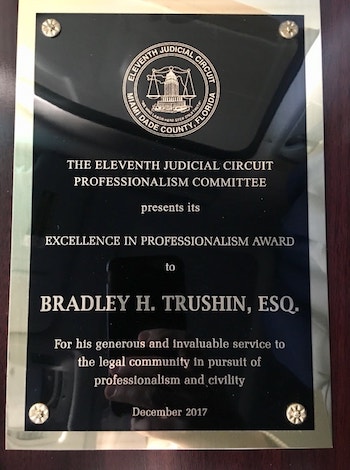 Excellence in Professionalism Award